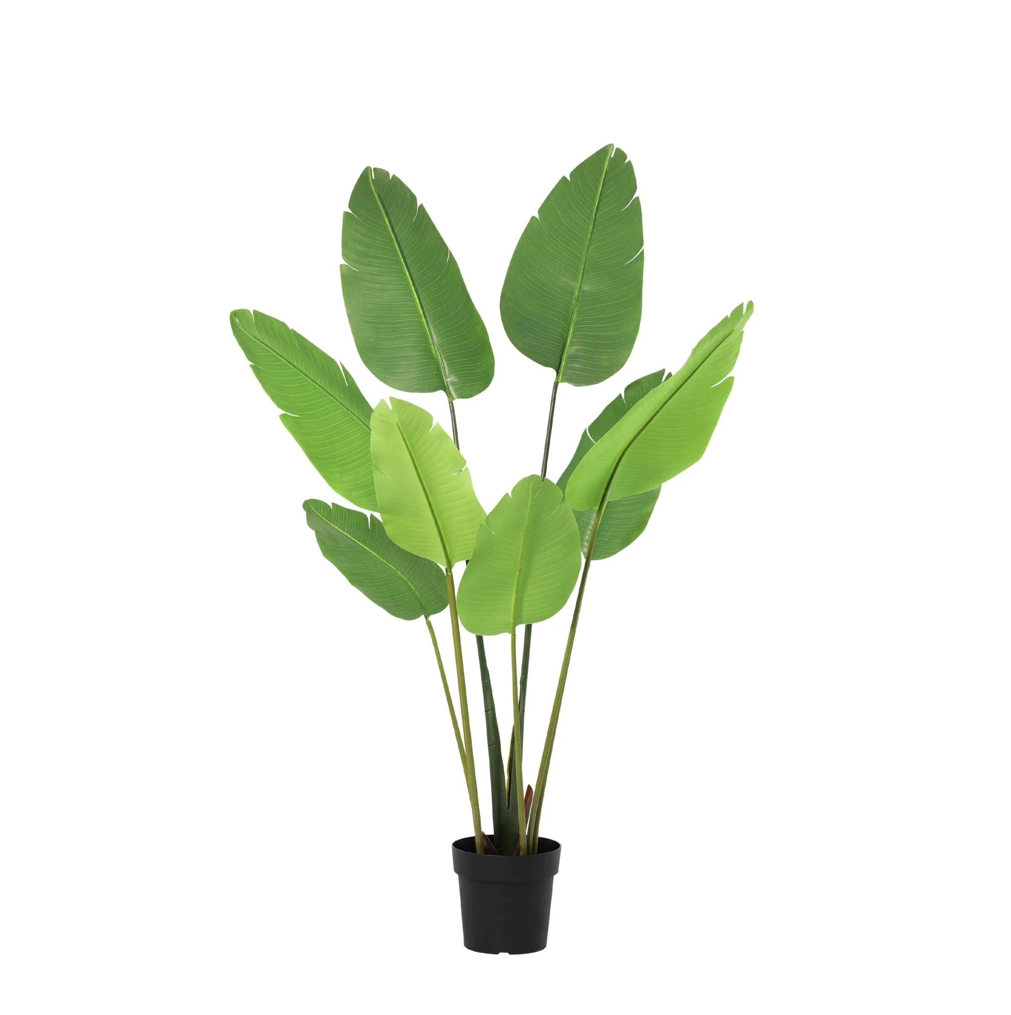 Productafbeelding 10